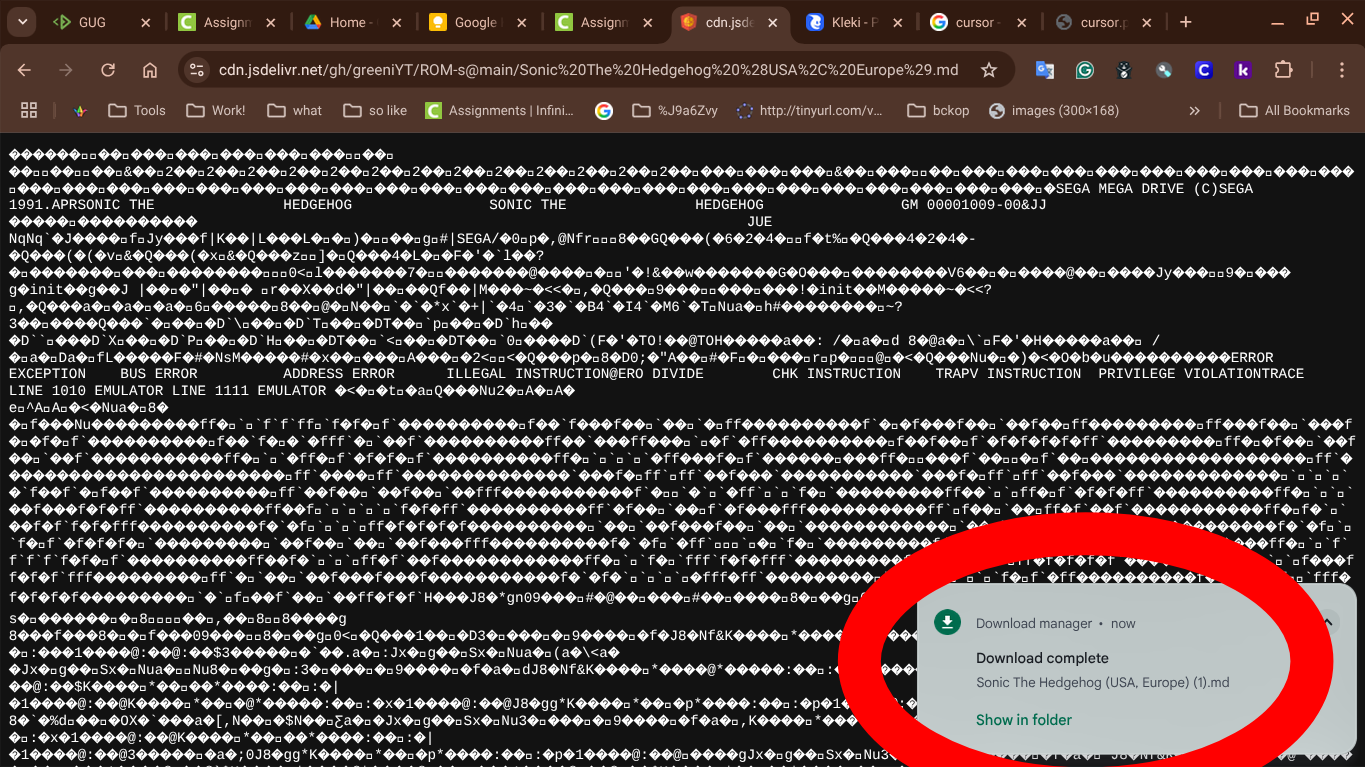 screenshot of downloaded file